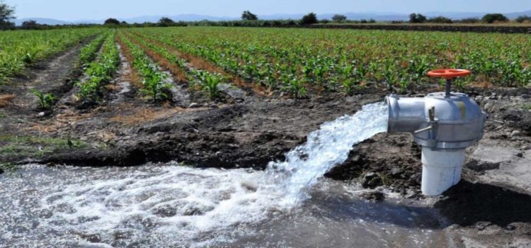 CONAGUA aprueba designar 3 mil 629 mm³ de agua para riego agrícola en el estado