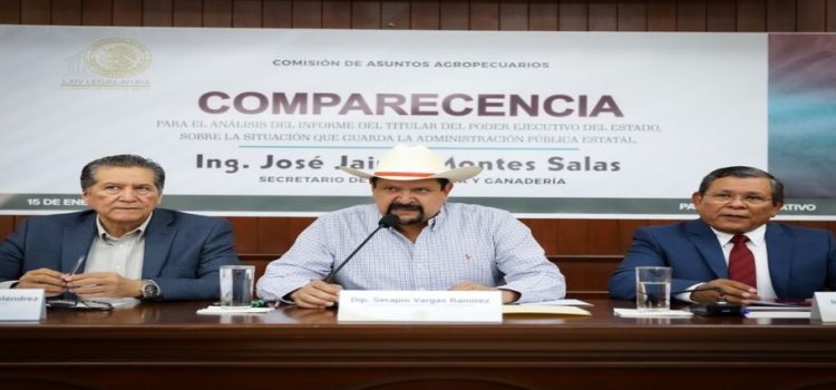 Sinaloa referente a nivel nacional en tema agrícola