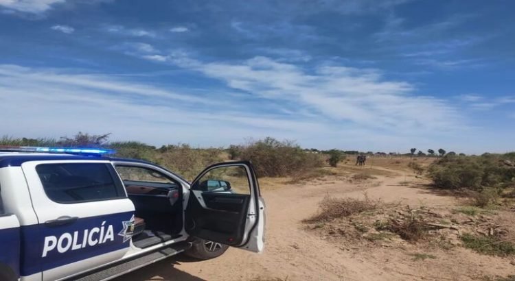 Encuentran restos óseos en La Sabanilla, Guasave