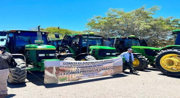 Productores de Sinaloa anuncian manifestación por inconformidad con el precio del maíz