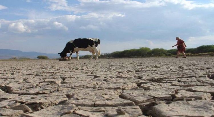 En Sinaloa 14 municipios presentan sequía extrema