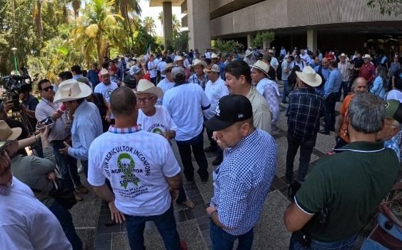 Agricultores de Sinaloa se plantan ante palacio de gobierno, exigen precios justos Agricultores de Sinaloa se plantan ante palacio de gobierno, exigen precios justos