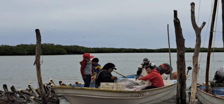 Pescadores de Sinaloa recibirán 300 motores marinos