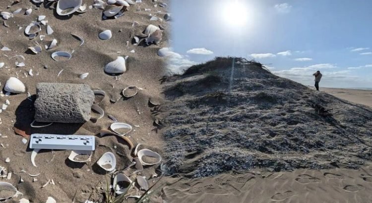 Descubren nuevos vestigios prehispánicos en isla de Guasave