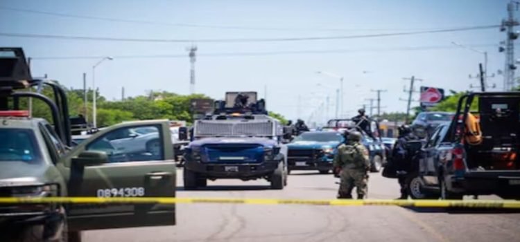 Denuncian 79 muertos y pérdidas millonarias por violencia en Sinaloa
