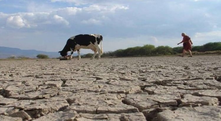 Aumentan superficie y municipios afectados por sequía excepcional