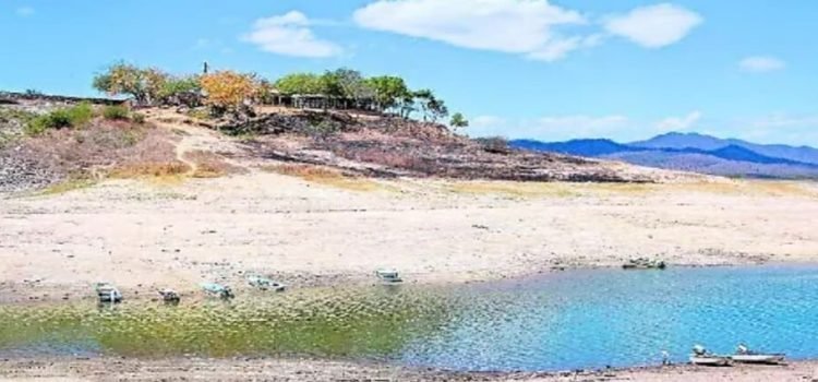 El gobierno destinará 12 millones de pesos para mitigar la intensa sequía en Sinaloa