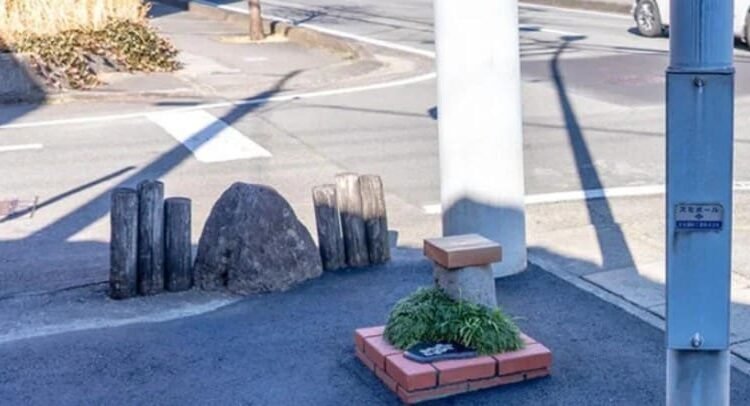 Japón rompe récord mundial con el parque más pequeño del mundo