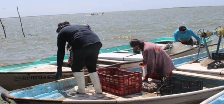 Sinaloa refuerza estrategia de inspección y vigilancia pesquera para frenar la pesca ilegal 