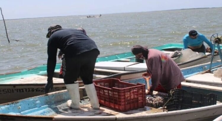 Sinaloa refuerza estrategia de inspección y vigilancia pesquera para frenar la pesca ilegal 
