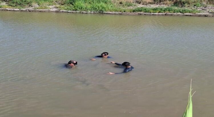Rastreadoras localizan más restos humanos en el canal Alto en Guasave