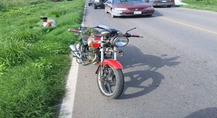 Motociclista resulta lesionado al esquivar una vaca en carretera Guasave-Nío