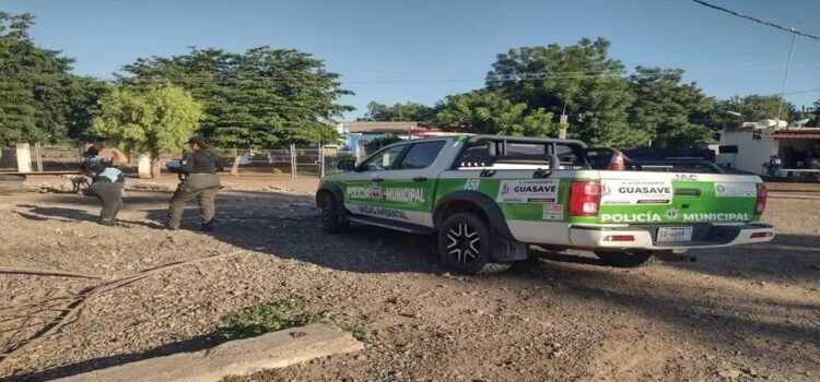 Denuncian caso de maltrato animal en Guasave