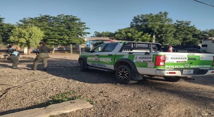 Denuncian caso de maltrato animal en Guasave