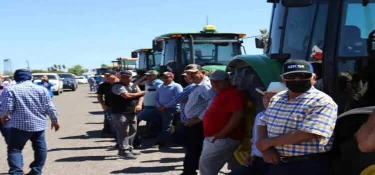 Sinaloa reanuda pagos de apoyo de 750 pesos a productores