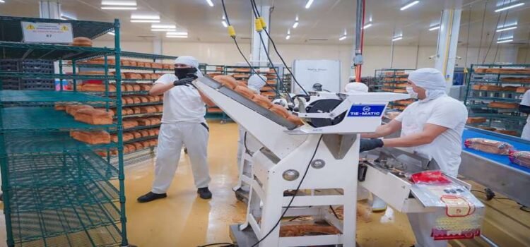 Sinaloa registra 114,772 MDP en inversión privada en el actual gobierno estatal
