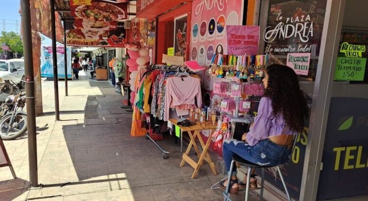 Pequeñas empresas sostienen el 70% de la economía de Guasave