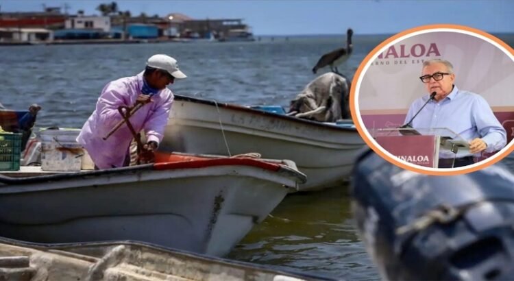 Pescadores de Sinaloa recibirán esta semana el pago del programa Bienpesca estatal