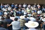 Agricultores bloquean carreteras y casetas de Sinaloa; exigen mejores precios de garantía