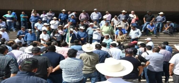 Agricultores bloquean carreteras y casetas de Sinaloa; exigen mejores precios de garantía Agricultores bloquean carreteras y casetas de Sinaloa; exigen mejores precios de garantía