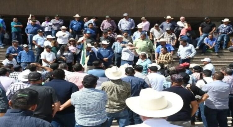 Agricultores bloquean carreteras y casetas de Sinaloa; exigen mejores precios de garantía