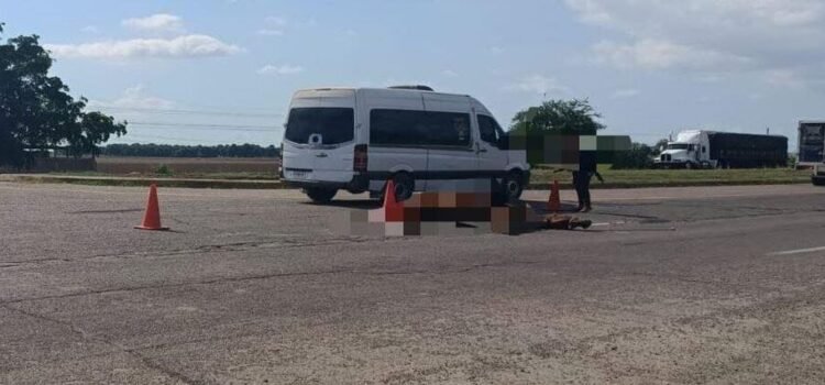 Colisionan dos vehículos entre sí por culpa de un caballo