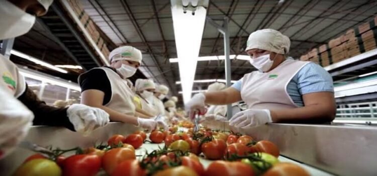 Economía de Sinaloa crece 2.8% en 2025 y supera promedio nacional, reporta INEGI