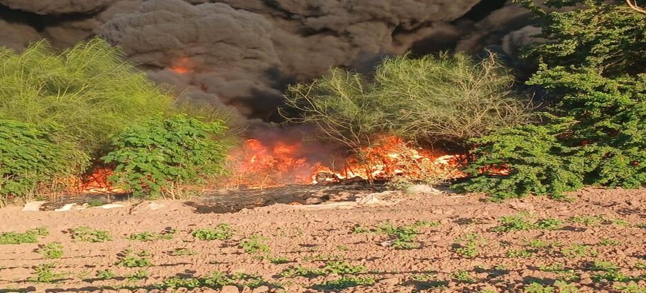 Incendio de una maya sombra genera densa nube de humo en Guasave