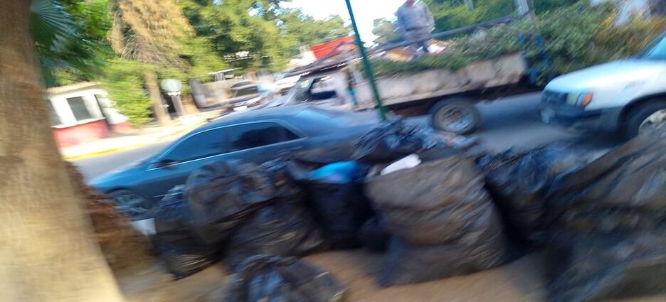 Retiran 13 toneladas de basura tras el Carnaval Guasave 2026