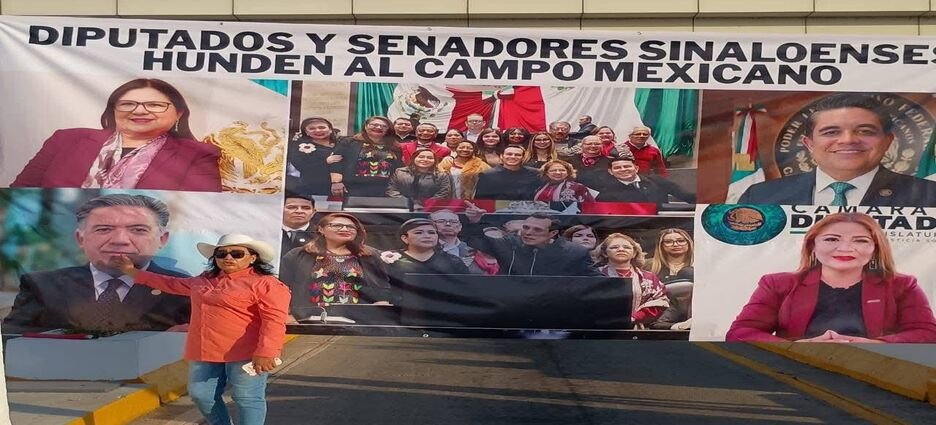 Productores agrícolas exhiben a políticos sinaloenses durante protesta en Cuatro Caminos