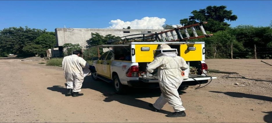 Enjambre de abejas deja atrapadas a madre e hija